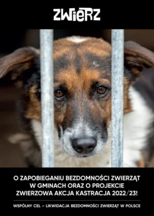 Informator - O zapobieganiu bezdomności zwierząt