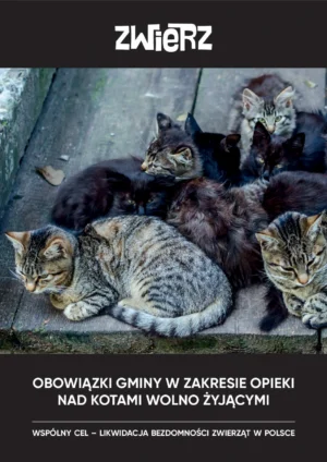Informator - Obowiązki gminy w zakresie opieki nad kotami wolno żyjącymi.