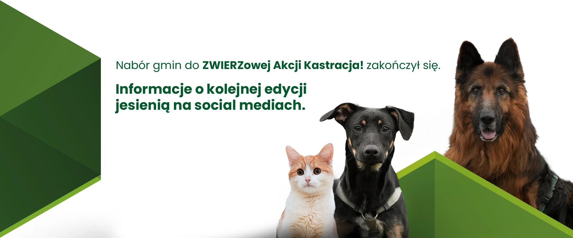 Nabór gmin do ZWIERZowej Akcji Kastracja! zakończył się.